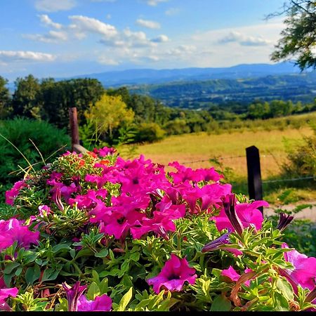 Kuca Za Uzivanje Valjevo Exteriör bild