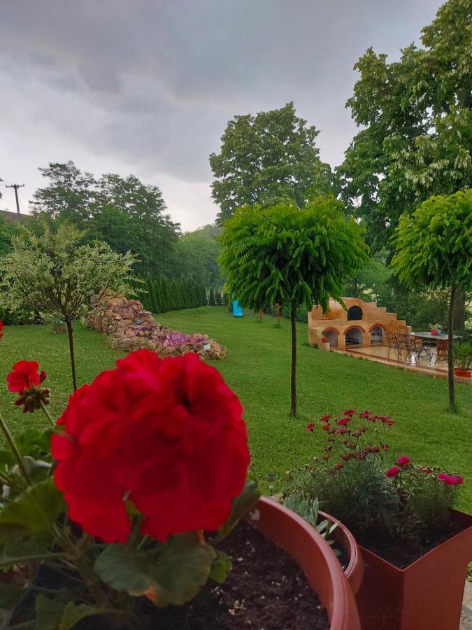 Kuca Za Uzivanje Valjevo Exteriör bild