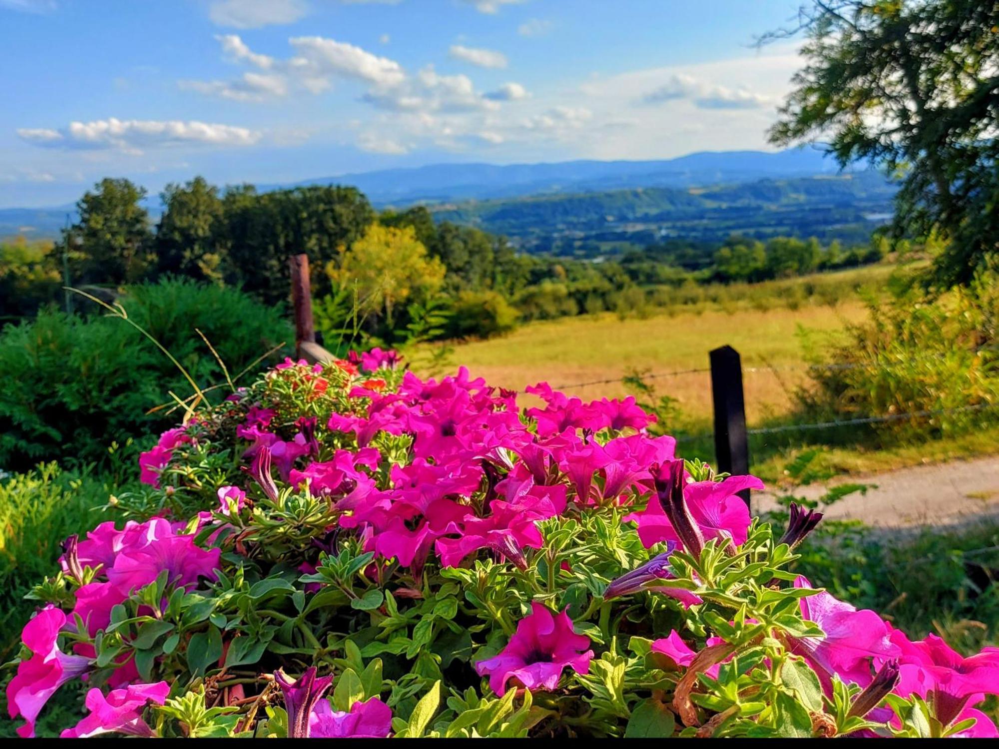 Kuca Za Uzivanje Valjevo Exteriör bild