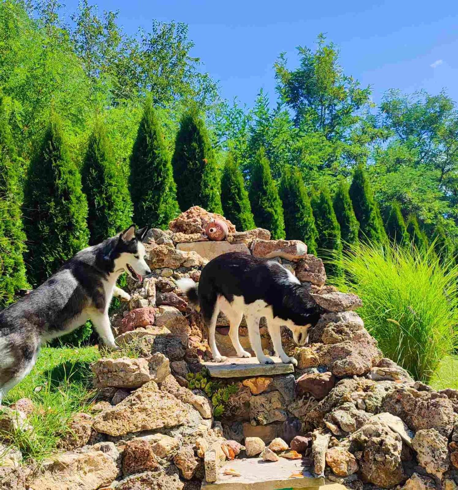 Kuca Za Uzivanje Valjevo Exteriör bild